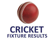 Cricket ball