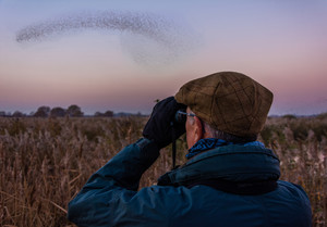 Watching the murmuration sml