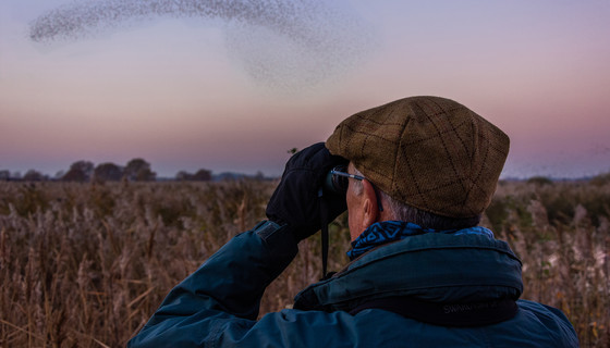 Watching the murmuration sml